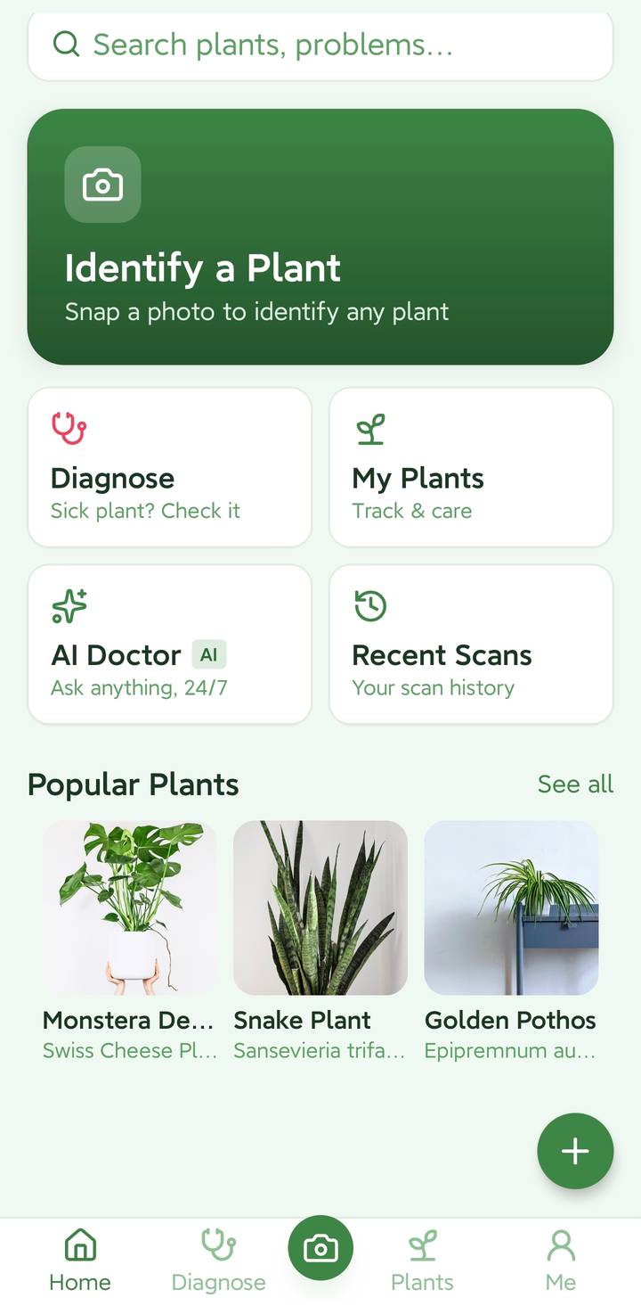 LeafSee plant identification screen