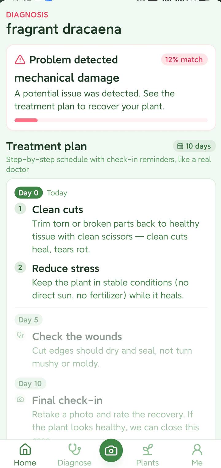 Diagnose plant disease
